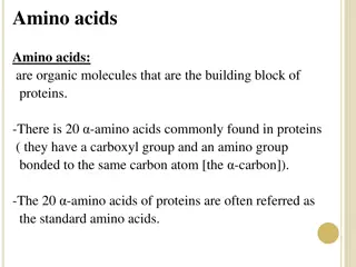 Understanding Amino Acids and Their Classification