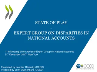 Expert Group on Disparities in National Accounts: State of Play