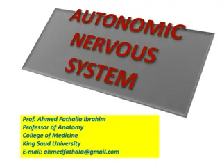 Understanding the Autonomic Nervous System: Structure and Function Explained