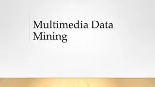 Understanding Multimedia Data Mining and Similarity Searching