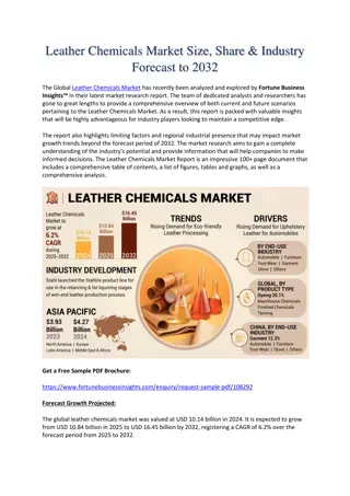 Leather Chemicals Market Size, Share & Industry Forecast to 2032