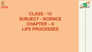 Understanding Life Processes: Nutrition in Living Organisms