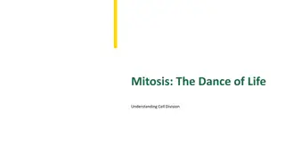 Understanding Mitosis: The Dance of Life in Cell Division