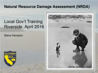 Understanding Natural Resource Damage Assessment (NRDA)