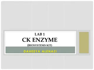 Understanding Creatine Kinase: Enzyme in Muscle Health
