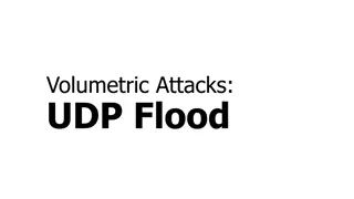 Understanding Volumetric Cyber Attacks and Key Points