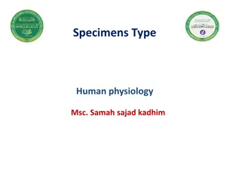 Exquisite Human Physiology Specimens by Msc. Samah Sajad Kadhim