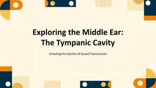 Unveiling the Secrets of Sound Transmission in the Tympanic Cavity
