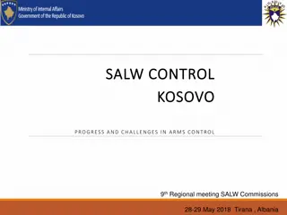 Progress and Challenges in Arms Control: SALW Commission Meeting in Kosovo