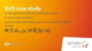 Understanding Bovine Viral Diarrhea (BVD) Eradication in Scotland
