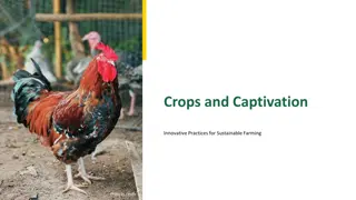 Innovative Sustainable Farming Practices for Success
