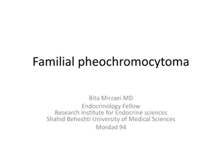 Understanding Familial Pheochromocytoma and Silent Tumors
