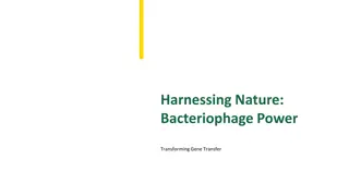 Power of Bacteriophages: Transforming Gene Transfer in Nature