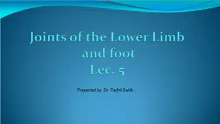 Understanding Knee Joint and Associated Articulations