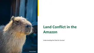Understanding Land Conflict in the Amazon: A Clash for Survival