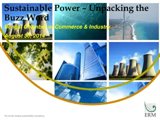 Unpacking Sustainable Power in India: Insights and Perspectives