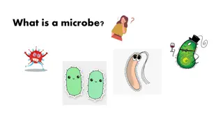 Exploring the World of Microbes and Gut Microbiome
