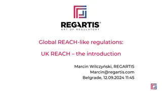 Understanding UK REACH Regulations and Compliance