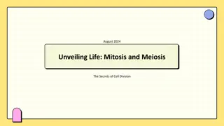 Unlocking the Mysteries of Mitosis and Meiosis in Cell Division