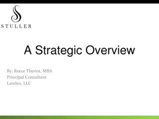 Strategic Overview by Reece Theriot MBA Consultant Lamleo LLC