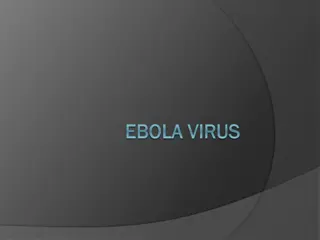 Understanding Ebola Virus: Types, Outbreaks, Symptoms, and Treatment