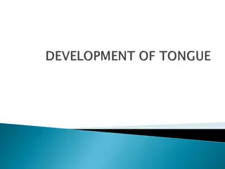 Understanding Tongue Development and Clinical Considerations