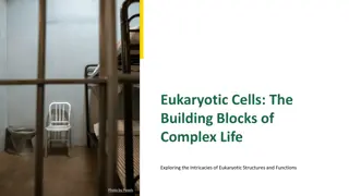 Exploring the Intricacies of Eukaryotic Structures and Functions