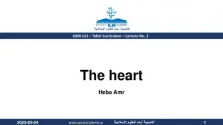 Understanding the Essence of the Heart in Spiritual Connection