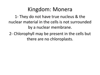 Monera and Protista: A Comparison of Microbial Kingdoms