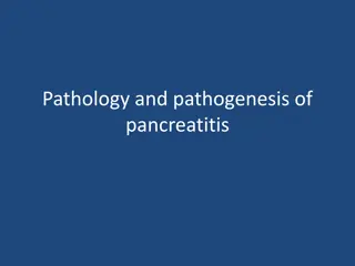 Understanding Pancreatitis: Causes, Pathology & Treatment