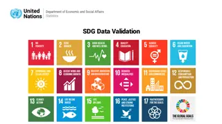 Efficient SDG Data Validation and Structural Evaluation