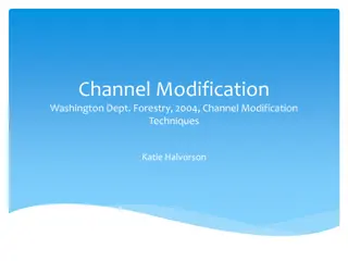 Successful Channel Modification Techniques for Sustainable Environmental Restoration
