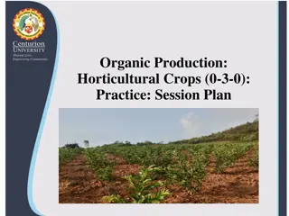 Organic Seed Treatment Techniques for Horticultural Crops