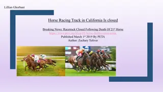Racing Industry Controversy: Horse Deaths Prompt Closure of California Track