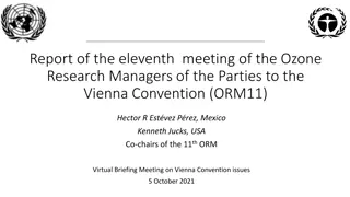 Insights from Ozone Research Managers Meeting