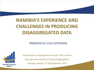 Namibia's Experience in Producing Disaggregated Data: Challenges & Solutions
