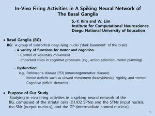 Firing Activities in Basal Ganglia Spiking Neural Network