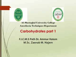 Understanding Carbohydrates: Functions, Classification, and Metabolism