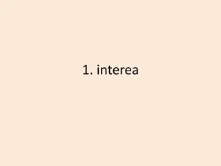 Latin Vocabulary Illustrated: Words and Meanings