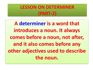 Understanding English Determiners: Types and Examples
