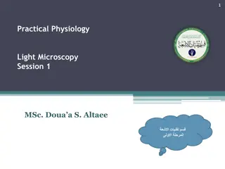 Understanding Light Microscopy in Practical Physiology Sessions