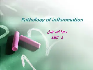 Understanding Acute Inflammation and Cell Mediators in Pathology