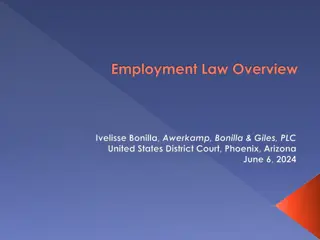 Understanding Employment Law Essentials
