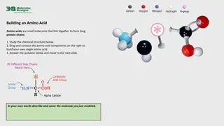 Build Your Own Amino Acid - Interactive Learning Experience