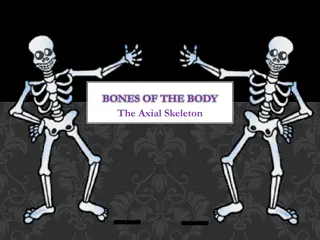 Explore the Axial Skeleton and Frontal Bones of the Body