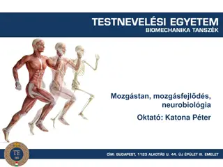 Neurobiology Studies and Reflex Mechanisms Overview
