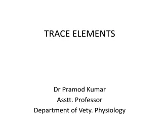 Understanding the Importance of Trace Elements in Animal Physiology