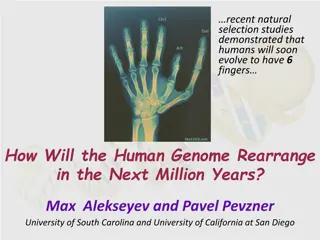 Human Genome Evolution: Studies on the Future of 6-Fingered Humanity
