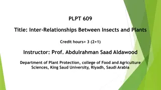 Interactions Between Insects and Plants: Understanding the Dynamics