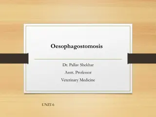 Understanding Oesophagostomosis: Causes, Symptoms, and Treatment